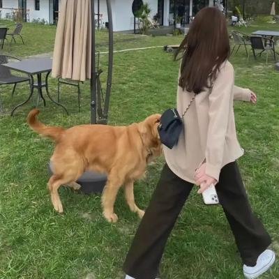 孖宝靓妹